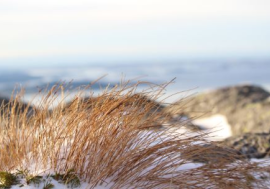 Møte 2.januar - Reiseliv i Ryfylke