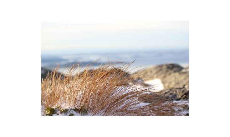 Møte 2.januar - Reiseliv i Ryfylke